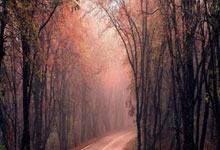 [篮球公园]20240510 战季·辽粤.