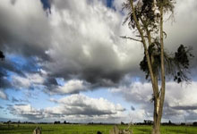 爱游戏：无锡马拉松“野鸳鸯”事件，一场全网围观的道德伦理大戏.