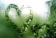 爱游戏：[图]足协杯-武磊帽子戏法 上海海港3-0津门虎晋级四强.