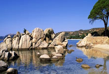 摔跤亚锦赛闭幕 中国队1金3银10铜收官2025-04-01.